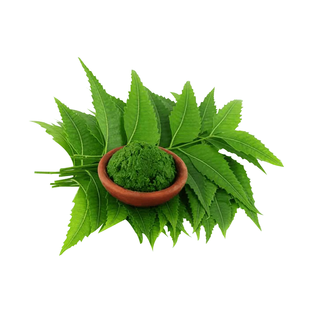 pure neem powder