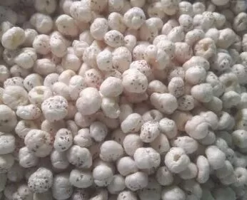 fox nut fox nut