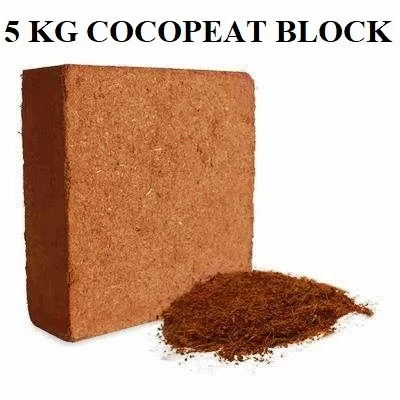 coco5 coco5
