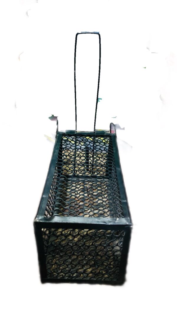 MOUSE TRAP METAL CAGE