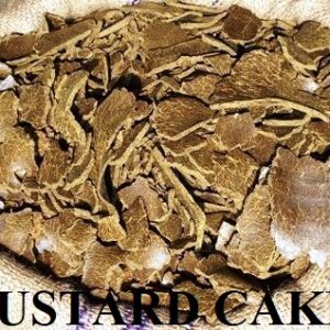 MUSTARD CAKE